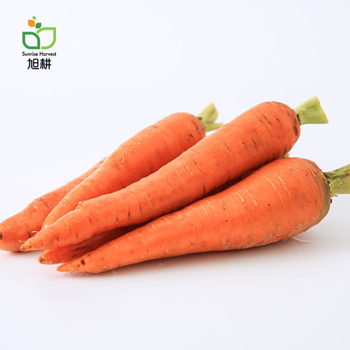 旭耕有机胡萝卜新鲜蔬菜3斤