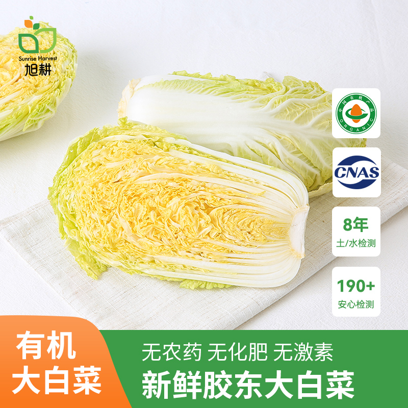 旭耕 有机大白菜1000g山东胶东新鲜农家蔬菜帮薄叶大鲜嫩食品材