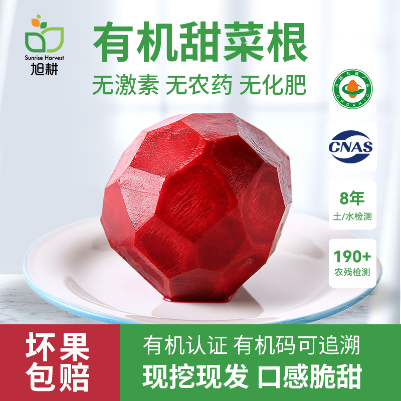 旭耕有机甜菜根红菜头包邮新鲜