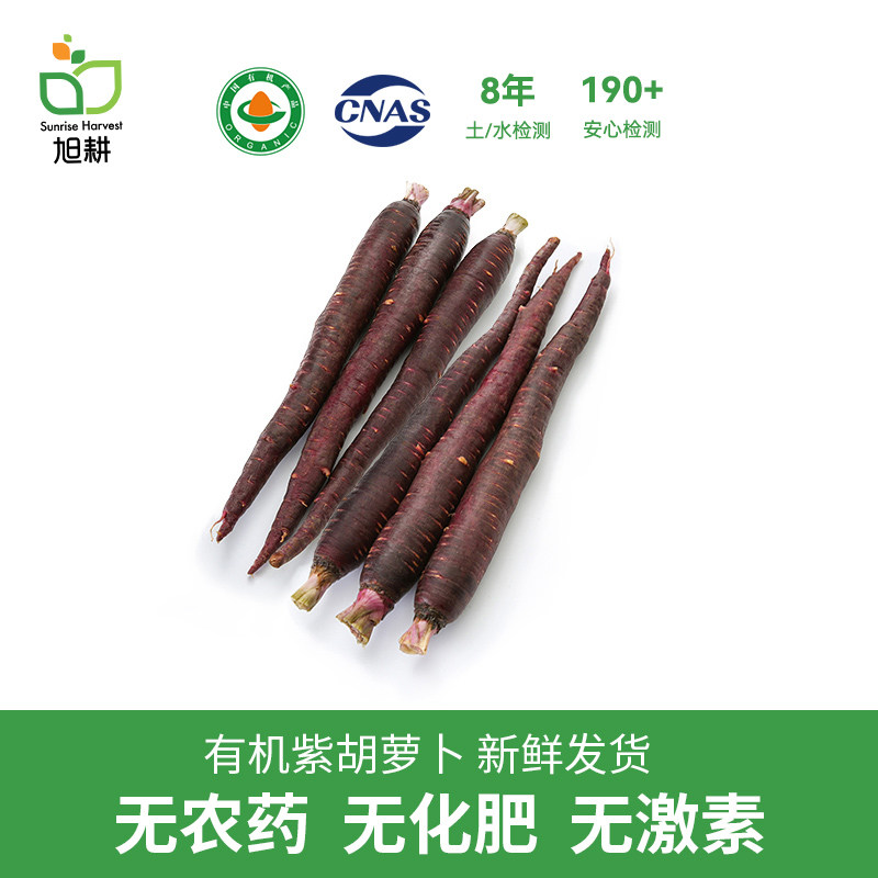 旭耕 有机紫胡萝卜500g 新鲜小胡萝卜脆甜清香水果型生吃蔬菜顺丰,水产肉类/新鲜蔬果/熟食,萝卜/胡萝卜,淘宝优惠券,粉丝福利购,淘宝优惠卷