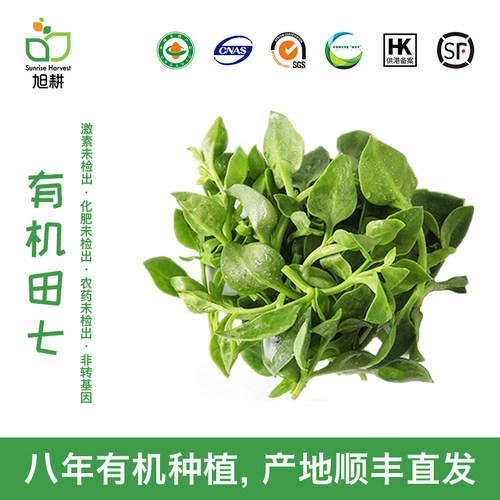 旭耕有机田七净菜新鲜穿心莲