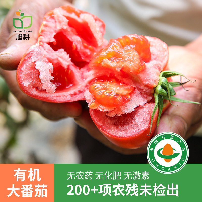 旭耕 有机西红柿新鲜自然熟山东沙瓤大番茄生食水果蔬菜5斤装顺丰