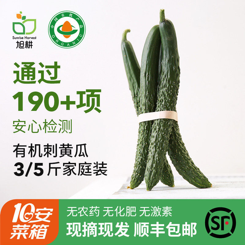 旭耕 有机黄瓜新鲜蔬菜大黄瓜带刺黄瓜生食果蔬3斤5斤装顺丰包邮