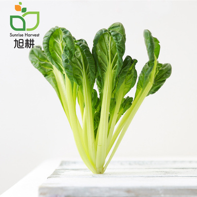 有机乌塌菜旭耕现摘现发