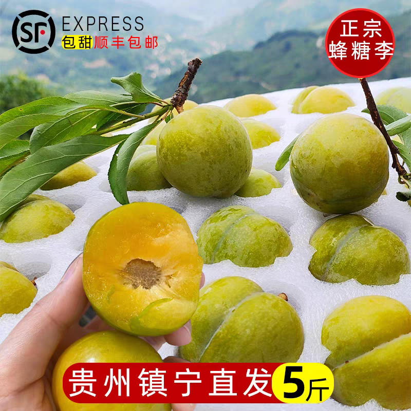 贵州六马正宗蜂糖李新鲜纯甜蜂蜜李原生态峰糖李高端特产果园现摘