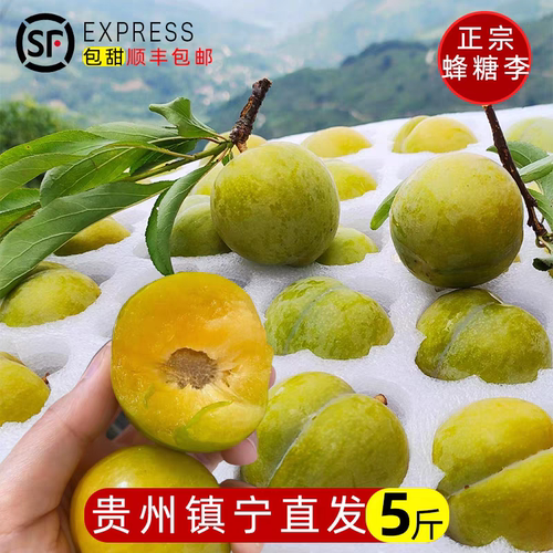 贵州六马正宗蜂糖李新鲜纯甜蜂蜜李原生态峰糖李高端特产果园现摘