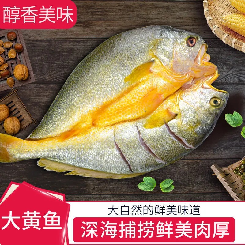 醇香黄鱼6条黄花鱼干 新鲜大黄鱼冷冻水产 鲜鱼海鲜免杀洗
