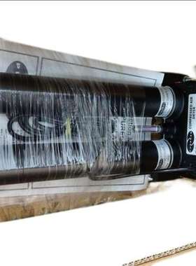 Rickmeier R35/63  330534-9泵 FL-Z-DB6-W-SAE2-R-SO