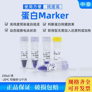 WB预染蛋白Marker 彩虹条带8-195KD 55-320KD 显影13-154KD