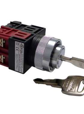 日本maruyasu丸安YF16-W24LE方形带灯按钮A30PD01R，QSL-241PWLH