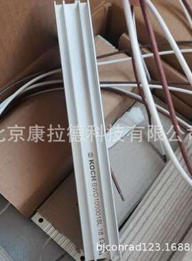 KOCH  BWD250027 100W 制动电阻 BWD100018L