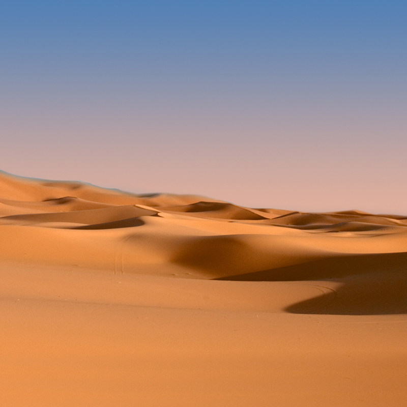 新款沙漠摄影背景布影楼j儿童室内风景拍摄照相道具仿真数码写真