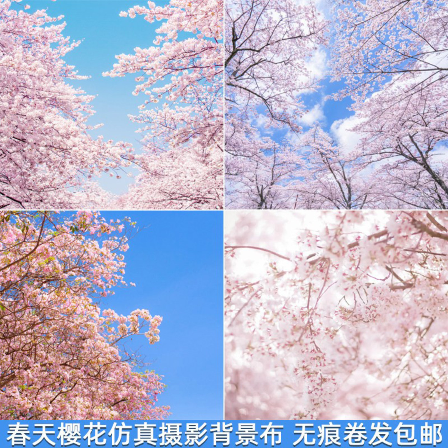 春天樱花背景布个性自拍儿童摄影