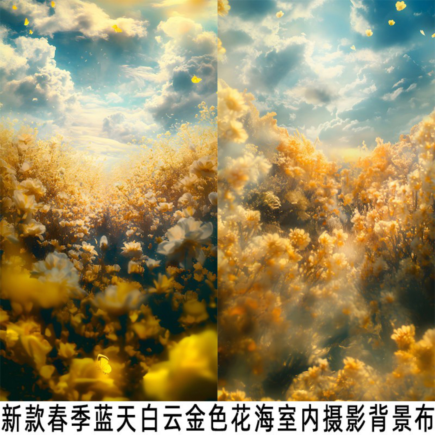 蓝天白云金色花海小清新写真布