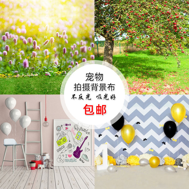 新款宠物摄影背景布猫咪小玩具