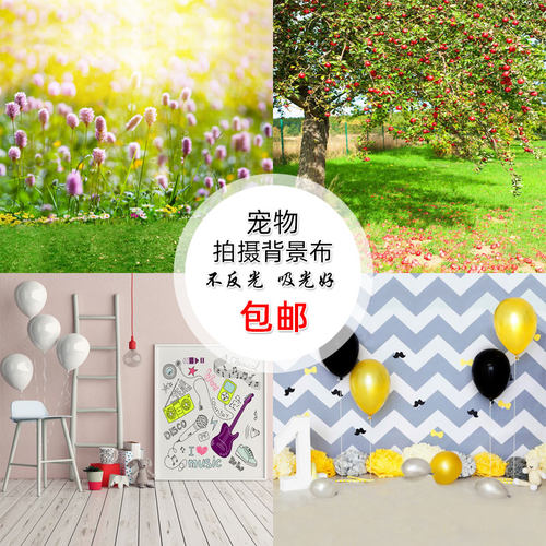 新款宠物摄影背景布猫咪小玩具