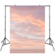 新款 白云蓝天摄影背景布照相馆影楼大尺寸无拼接儿童拍照写真布