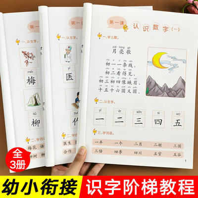 学前儿童识字书幼儿认字 幼小衔接看图拼音识字大王 3-6岁宝宝启蒙认知早教训练本 幼儿园大班学前班入学准备教材全套一日一练书籍