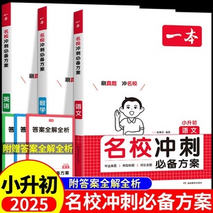2025版一本名校冲刺必备方案语文数学英语小升初总复习知识大盘点小学升初中毕业升学考试系统总复习专项训练考试真题试卷必刷题