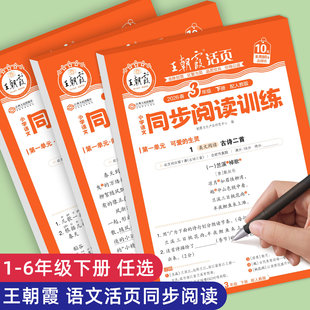 阅读理解专项训练书王朝霞阅读理解三年级阅读理解每日一练语文专项训练二年级四年级五年级六年级阅读上册教材同步人教版每日一练