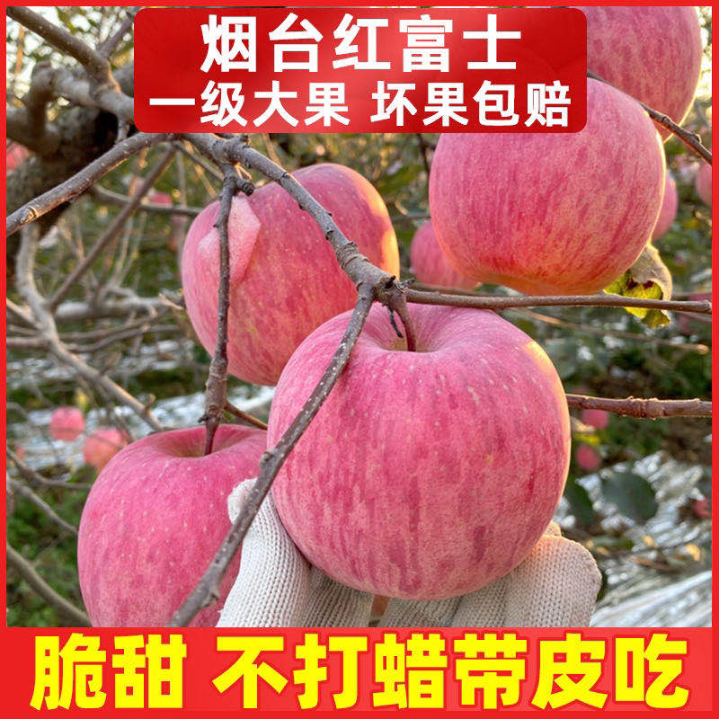 栖霞红富士山东烟台新鲜水果