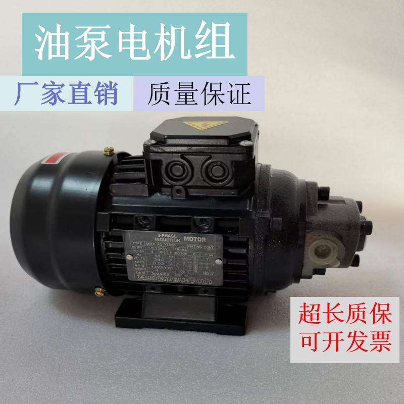 台湾小型齿轮油泵吸力强噪音低