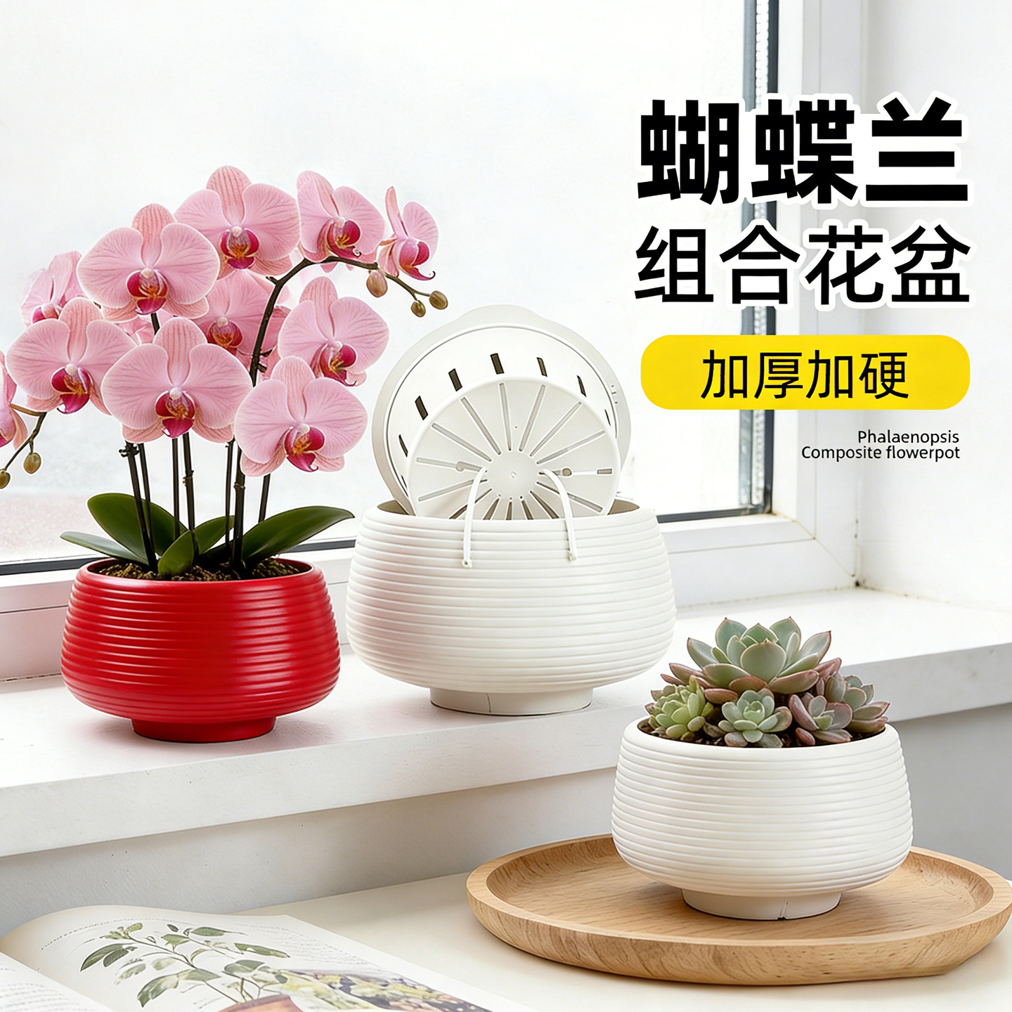 蝴蝶兰花盆家用自吸水塑料树脂轻奢高级感大号绿萝兰花专用组合盆
