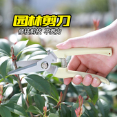 园艺剪刀果树修枝剪树枝剪省力不锈钢尖头插花修花嫁接专用工具