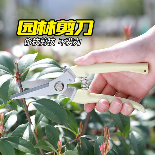 不锈钢园艺剪刀修花修枝剪