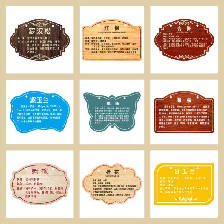 花草牌亚克力学校树牌植物绿化树木信息介绍挂牌标识牌提示牌掉牌