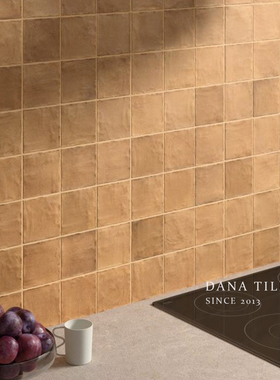 EQUIPE西班牙进口手工砖厨房卫生间浴室墙砖民宿咖啡厅吧台瓷砖