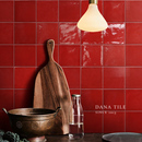戴纳 西班牙进口瓷砖红色手工砖厨房卫生间墙砖咖啡厅吧台釉面砖