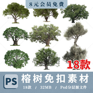 高清榕树ps素材榕树植物素材免扣景观效果图立面后期PSD分层素材