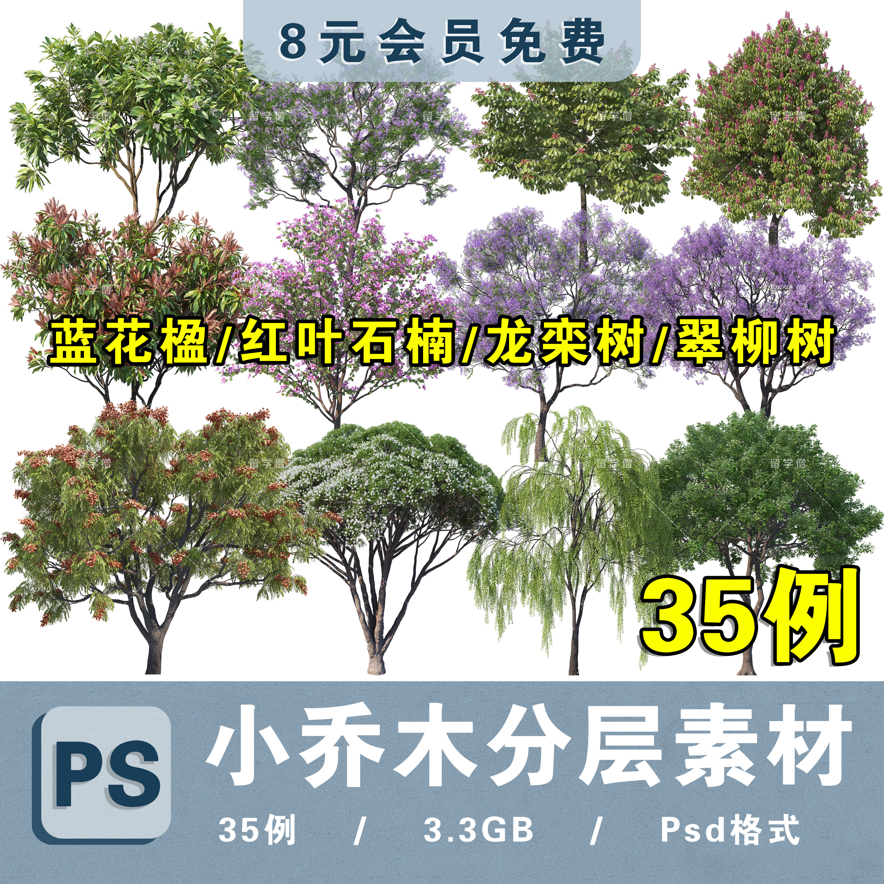 庭院主景小乔木蓝花楹红叶石楠树栾树翠柳树高清PSD分层免抠素材