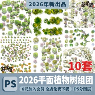 2026小清新PS彩平图平面植物组团彩平植物PS平面树PSD分层素材