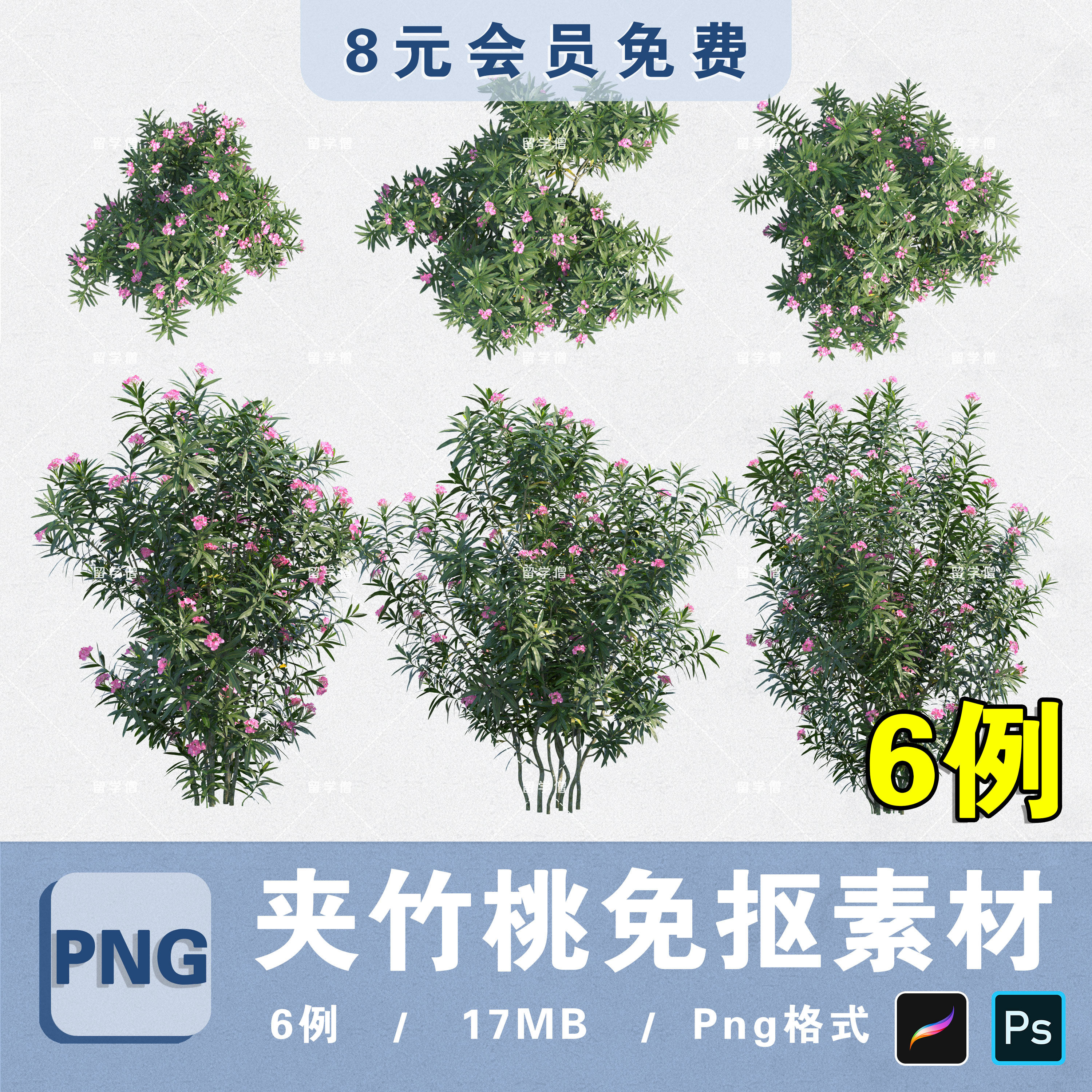 花境花灌木夹竹桃png高清免抠植物平立面ps分层素材procreate贴图