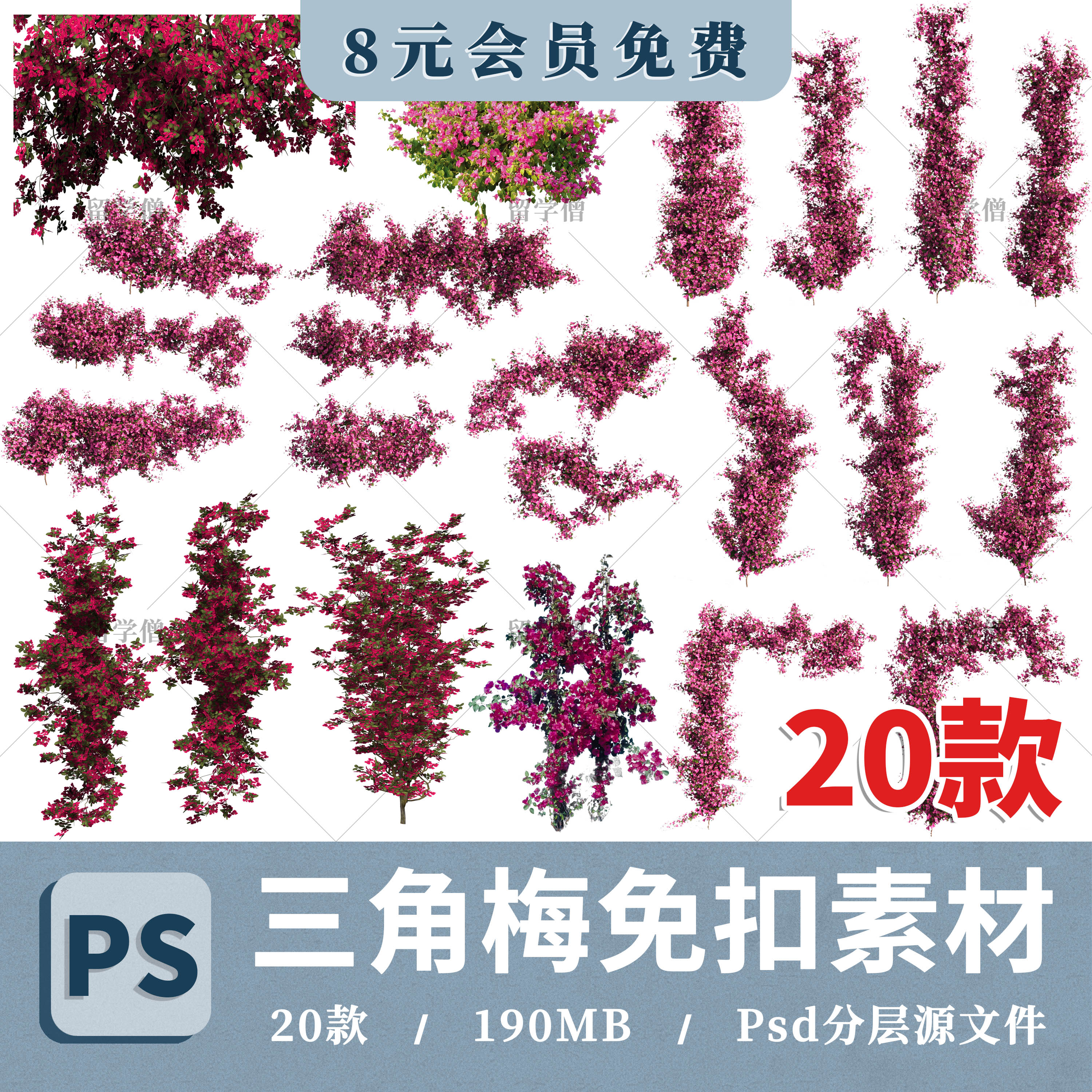 藤蔓爬藤植物三角梅花灌木爬墙攀援藤本景观效果图后期免抠PS素材