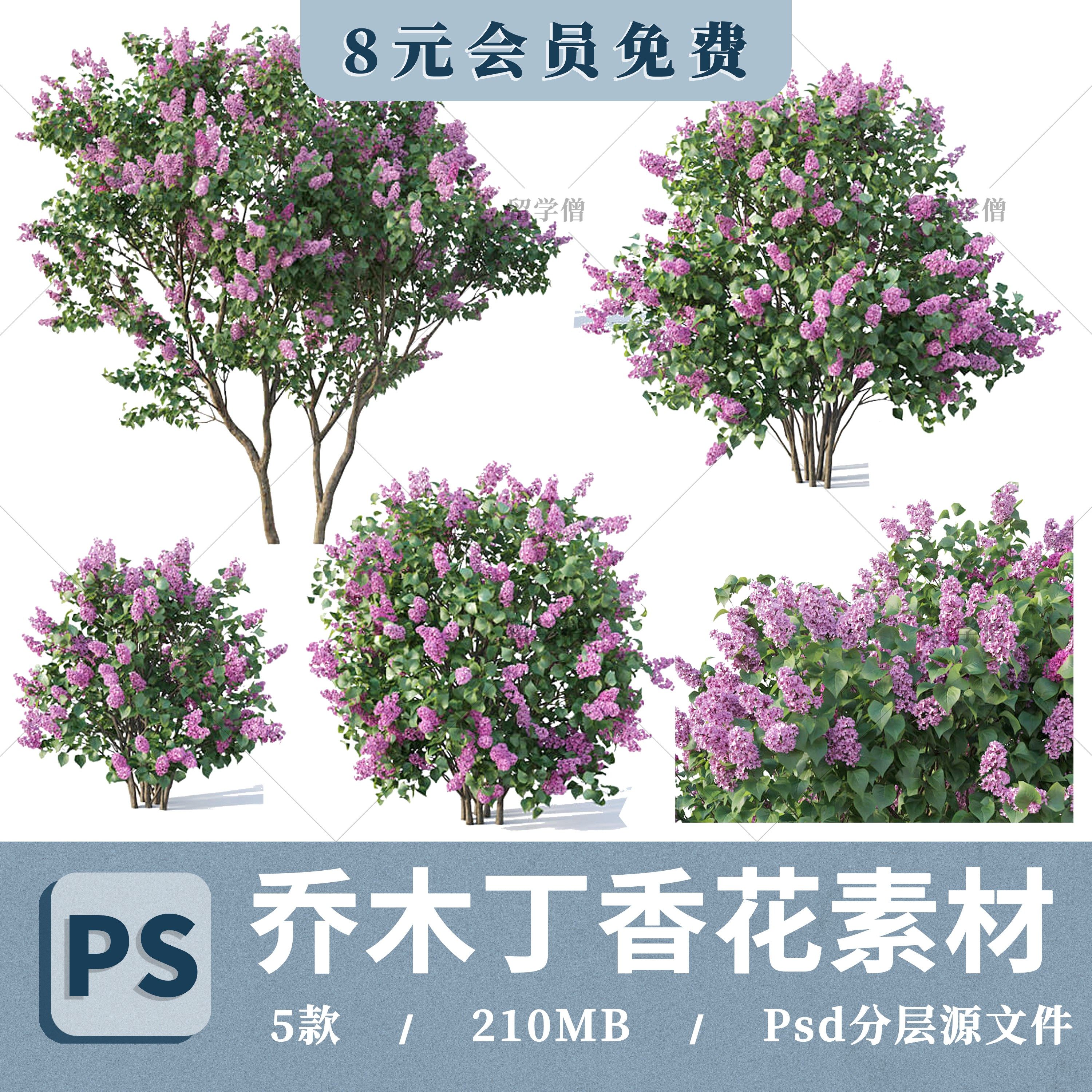 花境乔木丁香花psd高清免抠丁香花后期ps分层花境花卉分层ps素材