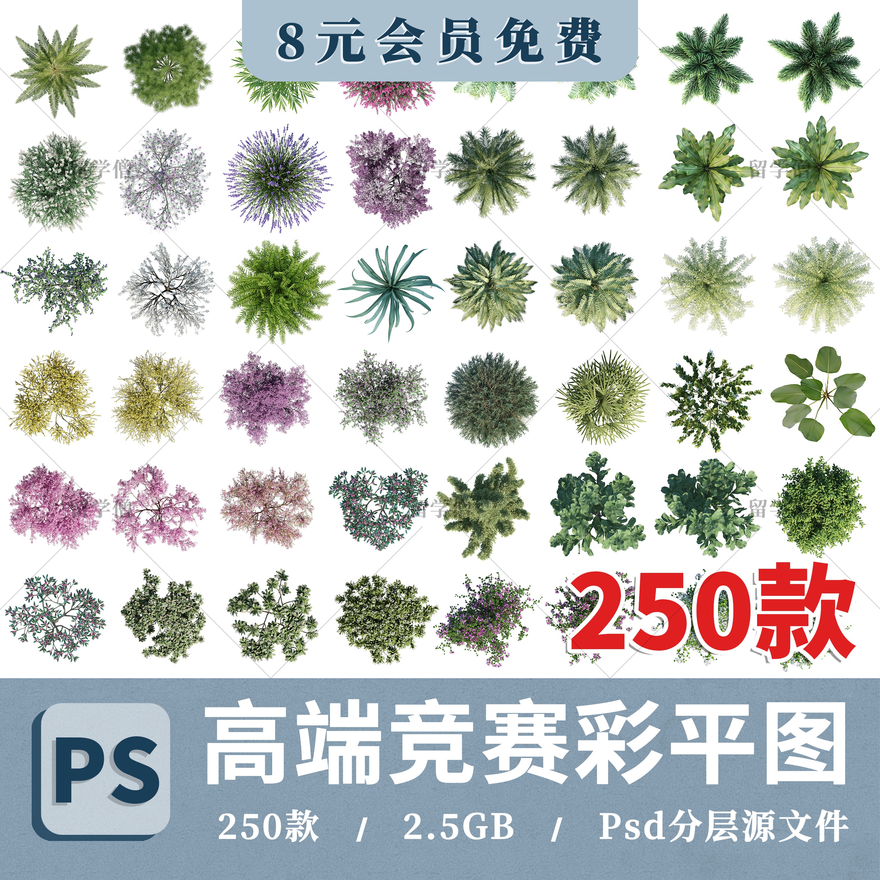 2025高清PS高端竞赛风平面树彩平顶视图植物psd分层免扣园林素材