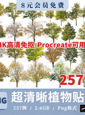 高清植物贴图真实乔木竞赛贴图秋季植物png免扣园林景观植物素材