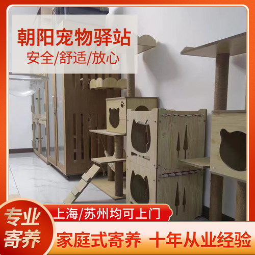 宠物寄养猫咪兔子龙豚鼠托管代养