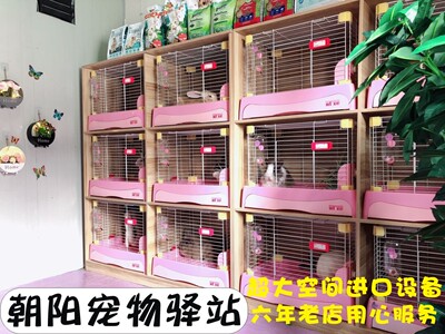上海宠物寄养/家庭/可上门