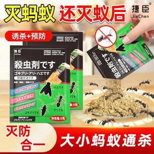 新型去蚂蚁药家用灭蚂蚁全窝室内通用端户外灭蚂蚁药饵剂专用神器