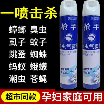 750ml杀虫喷雾剂室内卧室驱蚊喷雾苍蝇蚂蚁药蟑螂药气雾剂杀虫剂