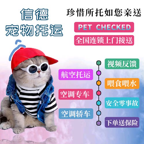 宠物专车宠物托运24小时实时监控