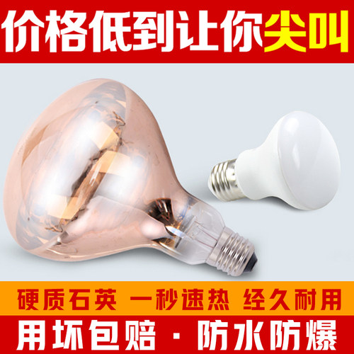 正品浴霸灯泡防水防爆