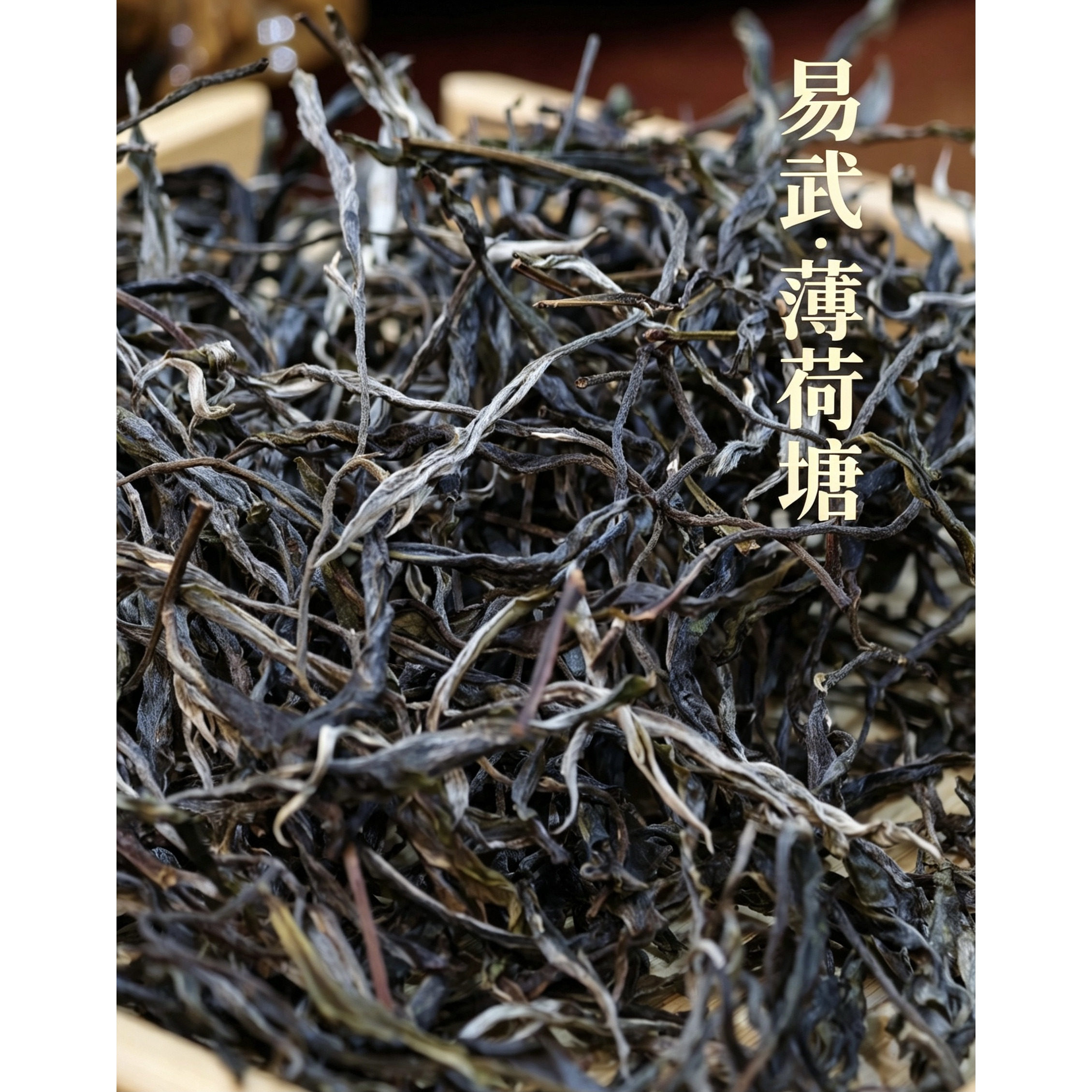 2026年头春古树茶古树普洱茶生茶散茶薄荷塘茶叶500克装香气四溢