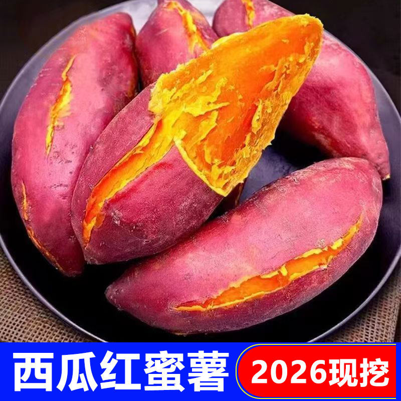 正宗沙地西瓜红薯软糯香甜蜜薯新鲜现挖红心番薯地瓜山芋整箱批发