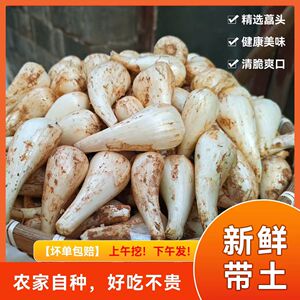 新鲜荞头茭头藠头农家现挖精选教头小蒜白江西糖醋荞教头泡菜直发