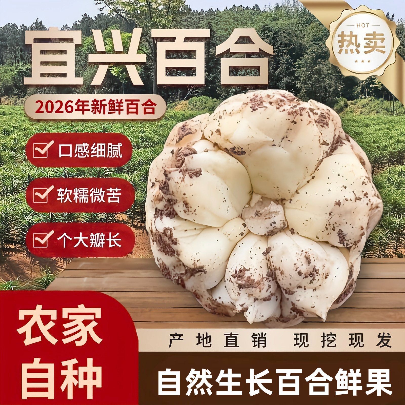 宜兴百合新鲜卷丹百合现挖百合药食同源土特产微苦软糯非甜百合